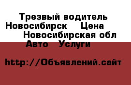 Трезвый водитель Новосибирск  › Цена ­ 1 500 - Новосибирская обл. Авто » Услуги   